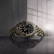 Pagani Design PD-1662 Silver-Gold