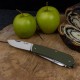 Багатофункціональний ніж Ruike Criterion L31, (8.5 см) 12C27 / G10 зелений, 18 інстр.