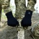 Рукавички водонепроникні Dexshell ToughShield