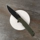 Ніж складаний туристичний Ruike P801-G, (8.6 см) 14C28N / G10 оливковий