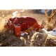 Термокухоль Wacaco Octaroma Lungo 300 мл, червоний