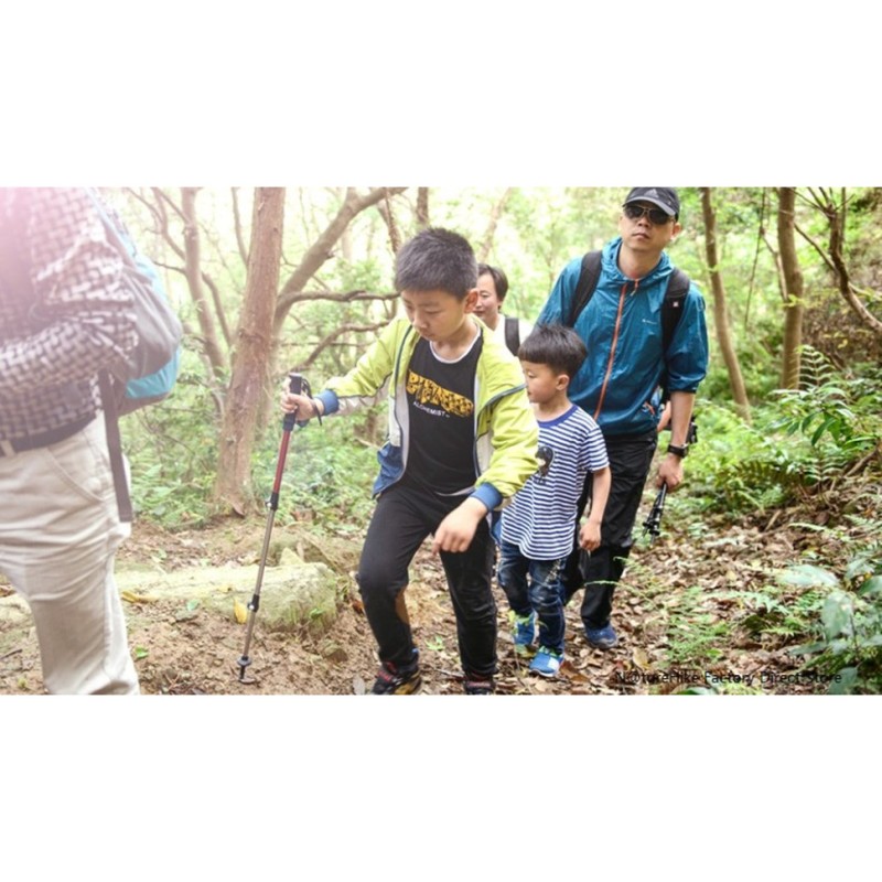 Трекінгова палиця 3-сек. Naturehike Boy 6061 AL NH17D001-Z, 50-100 см, алюміній, блакитна