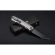 Ніж складаний туристичний Ruike P166-AК, (9.2 см) 14C28N / Aluminum сірий