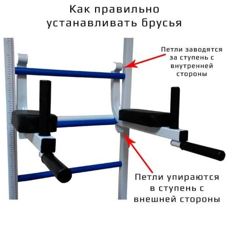 Шведська стінка універсальна, з турніком, брусами та лавкою для пресу