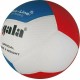 М'яч волейбольний Gala Pro-Line 12 FIVB BV5595S