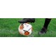 Футбольний м'яч Molten UEFA Europa League OMB (FIFA PRO) F5U5000-12