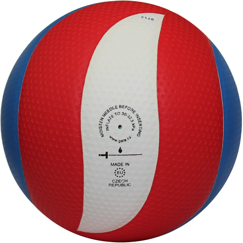 М'яч волейбольний Gala Pro-Line FIVB BV5591S