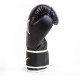 Боксерські рукавиці Everlast CORE 2 TRAINING GLOVE чорний Уні S/M
