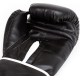 Боксерські рукавиці Everlast CORE 2 TRAINING GLOVE чорний Уні S/M