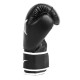 Боксерські рукавиці Everlast CORE 2 TRAINING GLOVE чорний Уні L/XL