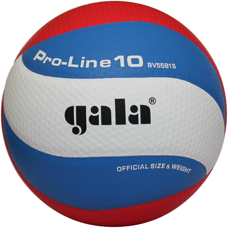 М'яч волейбольний Gala Pro-Line 10 BV5581S