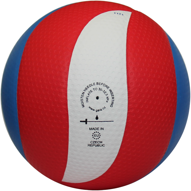 М'яч волейбольний Gala Pro-Line 10 BV5581S