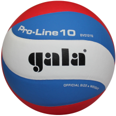 М'яч волейбольний Gala Pro-Line BV5821S