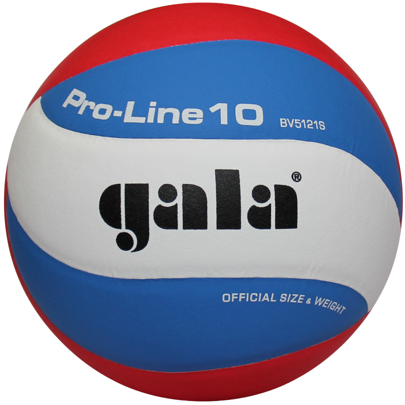 М'яч волейбольний Gala Pro-Line BV5821S