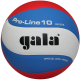 М'яч волейбольний Gala Pro-Line BV5821S