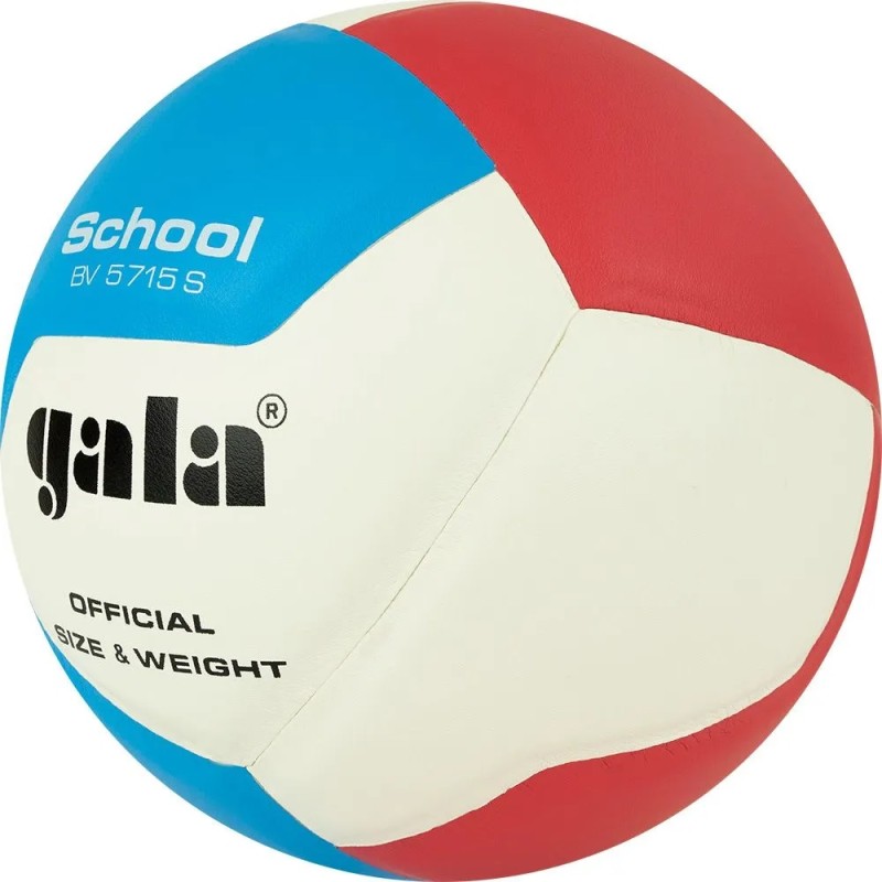 М'яч волейбольний Gala School 12 BV5715S