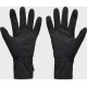 Рукавички Under Armour M's Storm Fleece Gloves чорний LG (6000391-001)