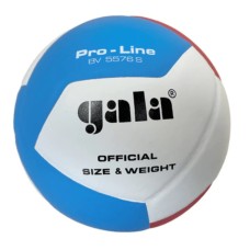 М'яч волейбольний Gala Pro-Line BV5576S