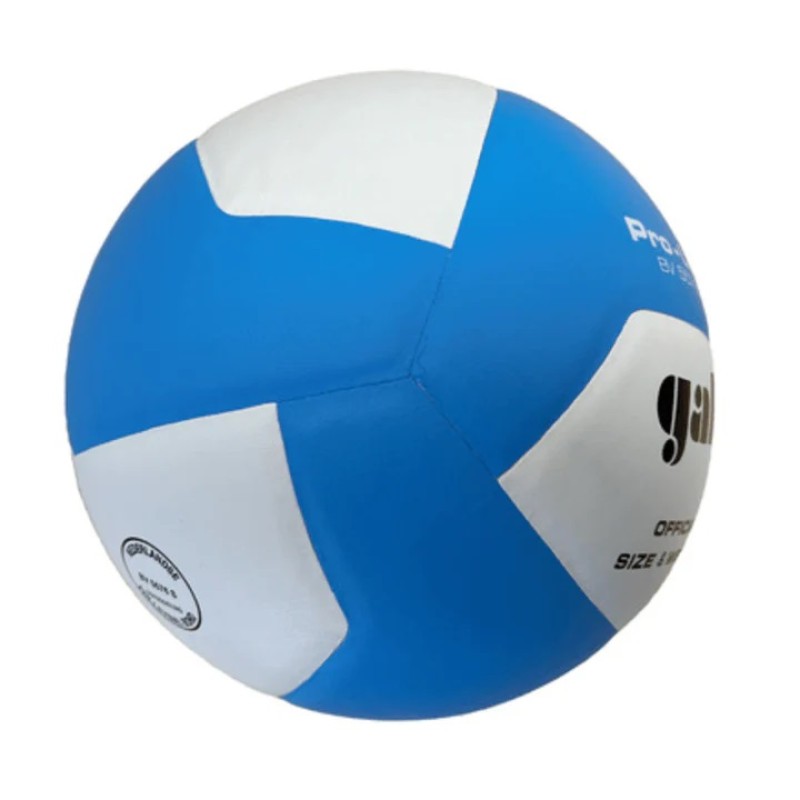 М'яч волейбольний Gala Pro-Line BV5576S