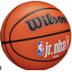 М'яч баскетбольний Wilson JR NBA FAM LOGO AUTH OUTDOOR BSKT size 7