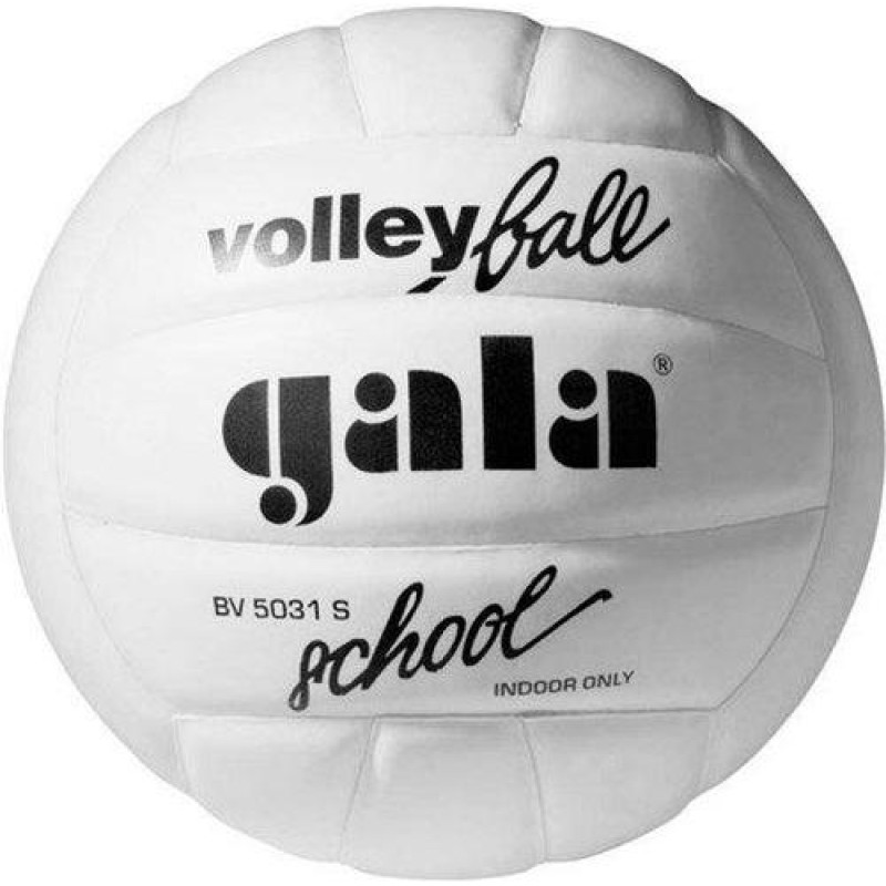 М'яч волейбольний Gala School Foam BV5031S