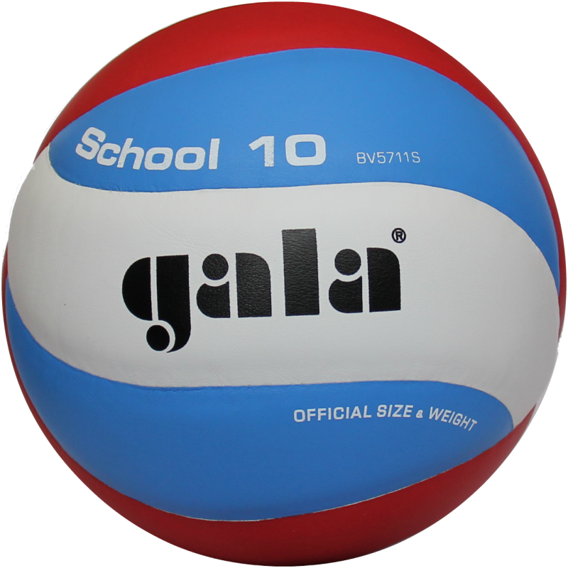 М'яч волейбольний Gala School 10 BV5711S
