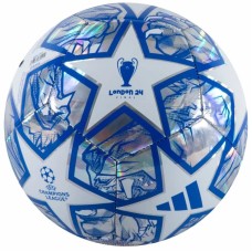 М`яч футбольний Adidas UCL Training IN9326 розмір 5