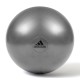 Фітбол Adidas Gymball сірий Уні 55 см
