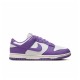 Кросівки жіночі Nike Dunk Low Next Nature (DD1873-108)