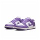 Кросівки жіночі Nike Dunk Low Next Nature (DD1873-108)