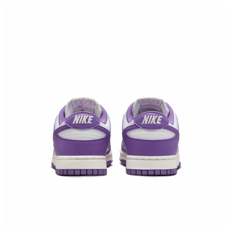 Кросівки жіночі Nike Dunk Low Next Nature (DD1873-108)