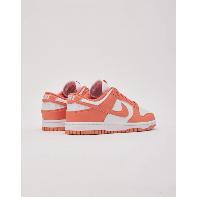 Кросівки жіночі Nike Dunk Low Next Nature (DD1873-109)