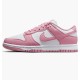 Кросівки жіночі Nike Dunk Low Next Nature (DD1873-112)