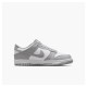 Кросівки жіночі Nike Dunk Low Gs (FB9109-123)