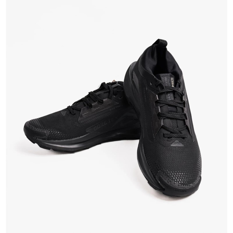 Кросівки для бігу чоловічі Nike Pegasus Trail 5 Gtx (FQ0908-002)