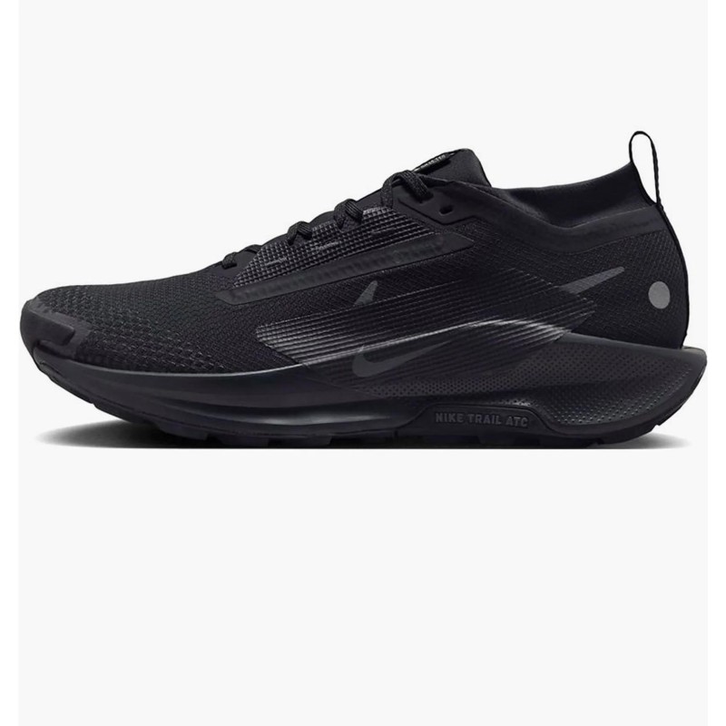 Кросівки для бігу чоловічі Nike Pegasus Trail 5 Gtx (FQ0908-002)