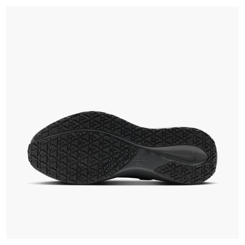 Кросівки для бігу чоловічі Nike Air Zoom Pegasus 41 Gore-Tex (FQ1356-001)