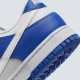 Кросівки унісекс Nike Dunk Low Sc (FN3416-001)