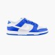 Кросівки унісекс Nike Dunk Low Sc (FN3416-001)