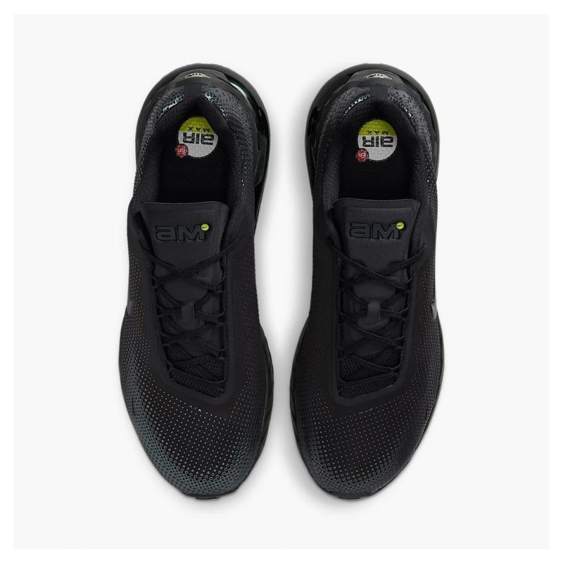 Кросівки чоловічі Nike Air Max Phoenix (FZ5307-004)