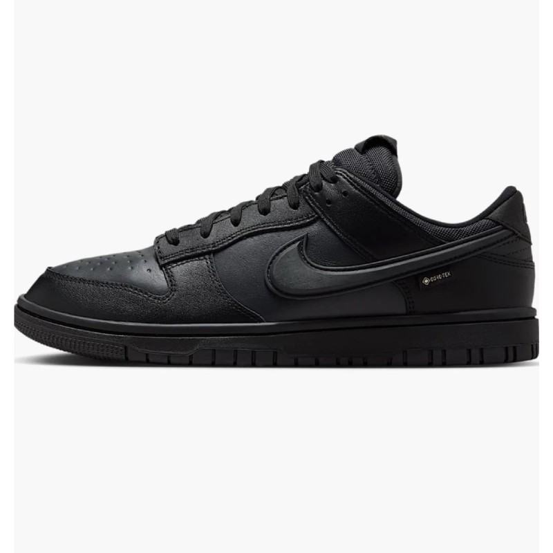 Кросівки чоловічі Nike Dunk Low Gore-Tex (HQ2053-001)