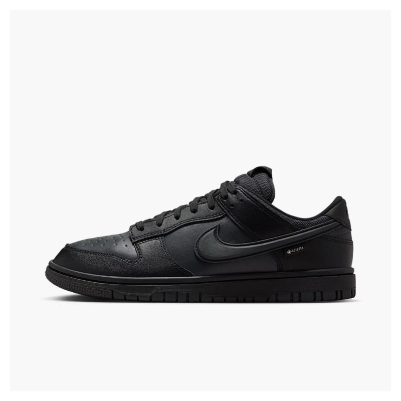 Кросівки чоловічі Nike Dunk Low Gore-Tex (HQ2053-001)