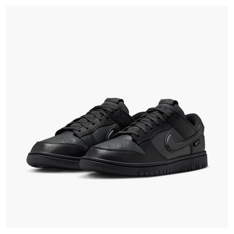 Кросівки чоловічі Nike Dunk Low Gore-Tex (HQ2053-001)