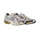 Кросівки чоловічі New Balance 1906U (M1906RRD)