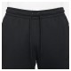 Брюки чоловічі Nike Sports Wear Te Fleece Jogger (DD5293-010)