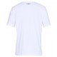 Футболка чоловіча Under Armour Team Issue Wordmark Ss (1329582-100)