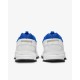 Кросівки чоловічі Nike Zoom Vomero Roam (FV2295-400)