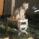 Піч дров'яна 3F Ul Gear Wood stove steel
