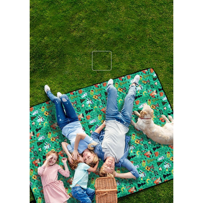 Килимок для пікніка Naturehike C042 200х180 cм NH19D024-Z Green