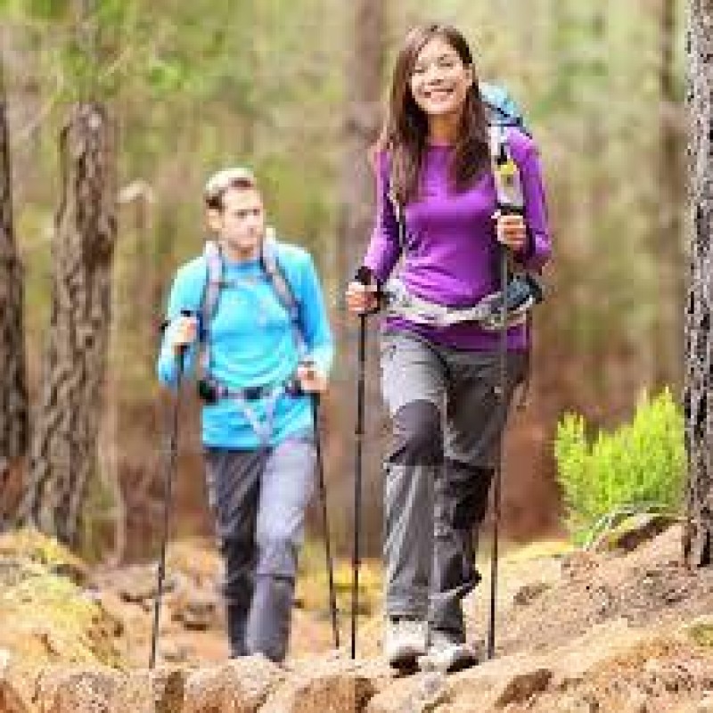Трекінгові палиці Naturehike NH19DS003 Red